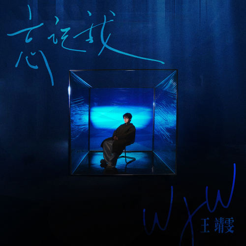 不要说话 (伴奏) - 王靖雯