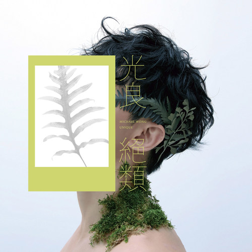 蕨类 - 光良